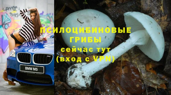 стаф Абинск